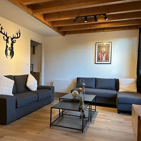 Apartment Duplex 4 Chambres, Centre A 4min, Skibus A La Porte, Wifi - Fr-1-836-53 Les Carroz d'Araches