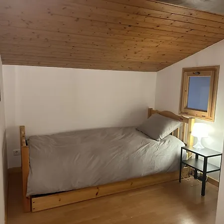 Duplex 4 Chambres, Centre A 4min, Skibus A La Porte, Wifi - Fr-1-836-53 Apartment Les Carroz d'Araches